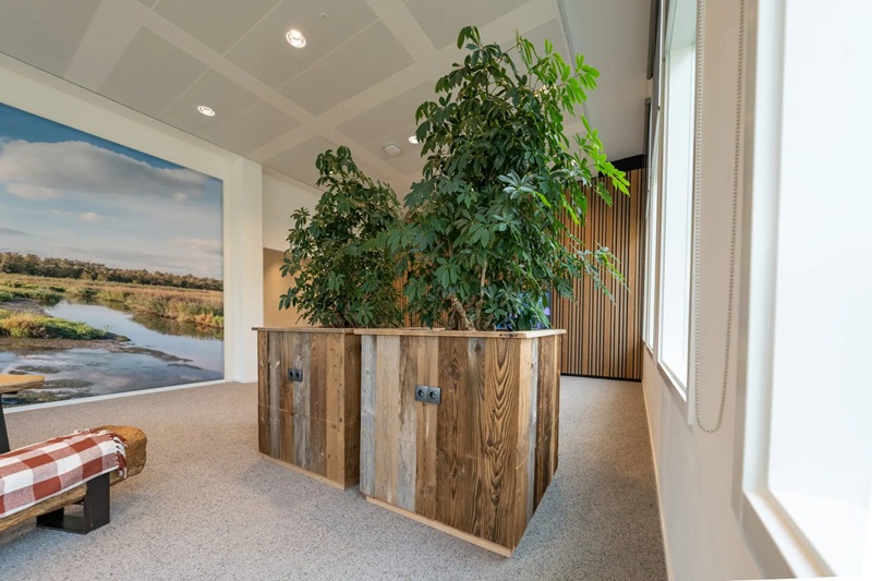 Roessink Interieurbeplanting
